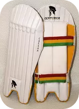 Ceasar WK Pads