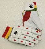 Pro Gloves